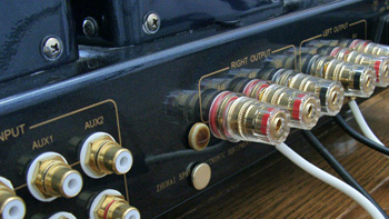 amp0827.jpg